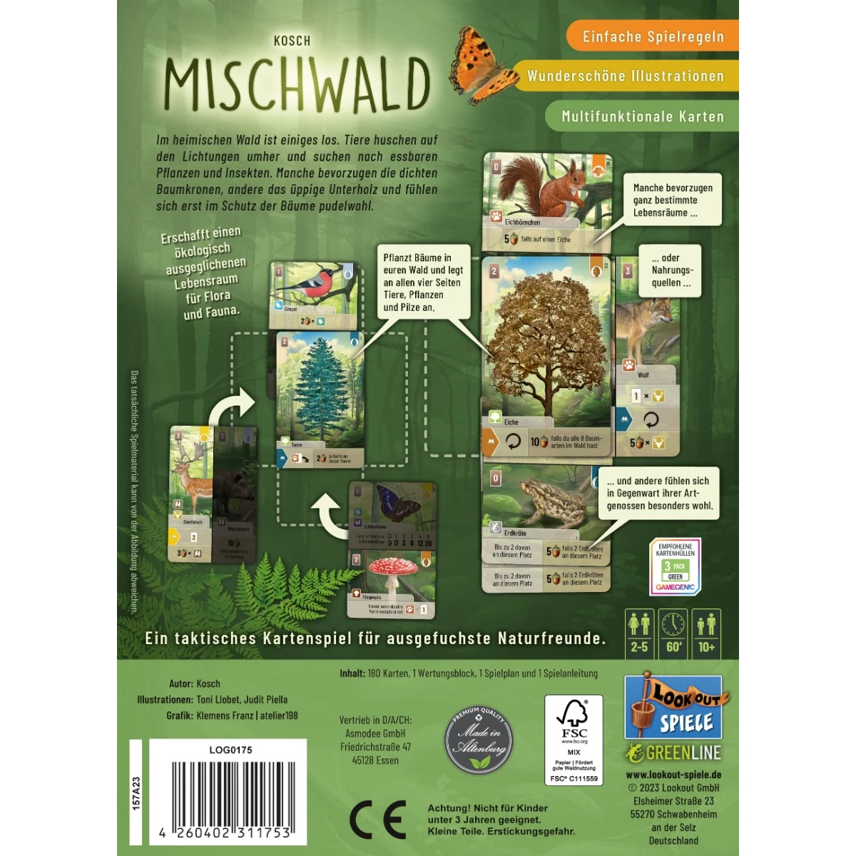 Mischwald – Bild 3
