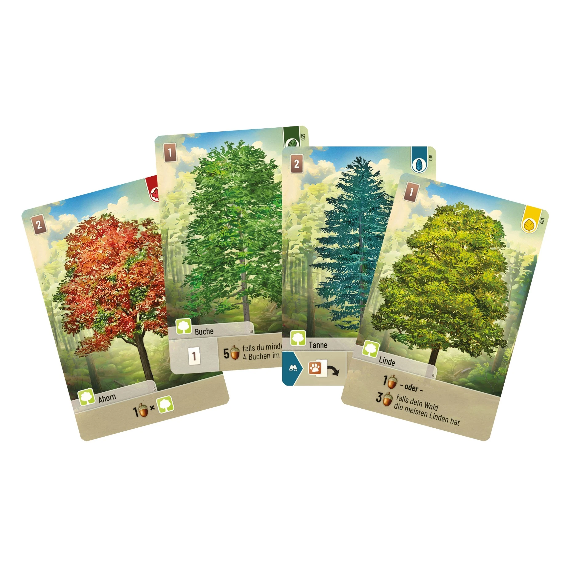 Mischwald – Bild 4